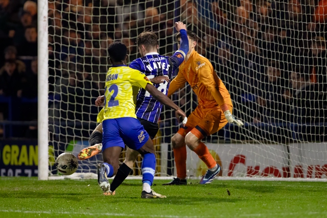 Rochdale AFC v Wealdstone